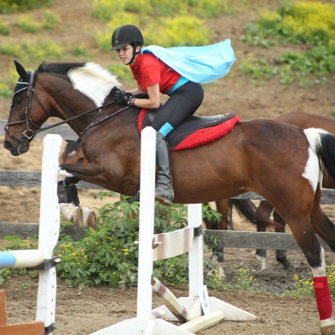 Jenna S. Nuth showing In Your Dreams at Willowbend Jumper Challenge