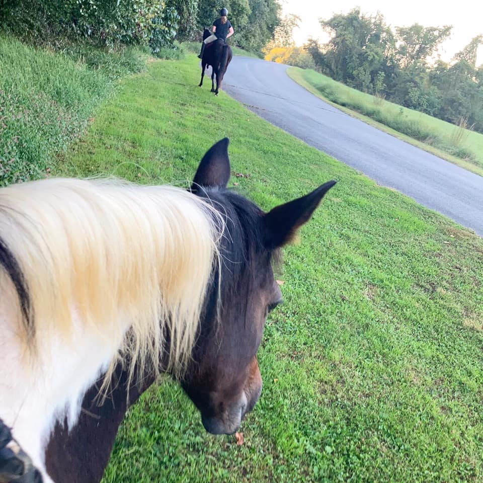 Trail Riding 2021