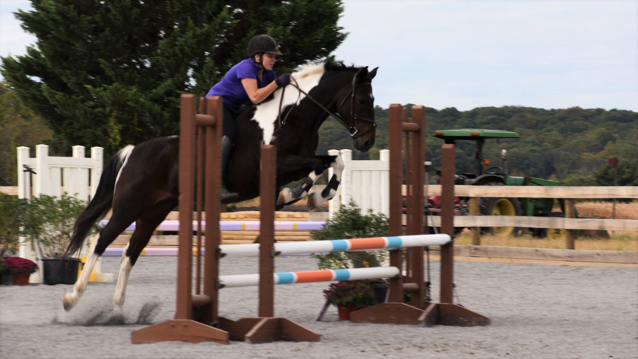 Jenna S. Nuth showing In Your Dreams bareback at AOPF Stables' Schooling Jumper Show 2019 in the 2 ft 6 in Division