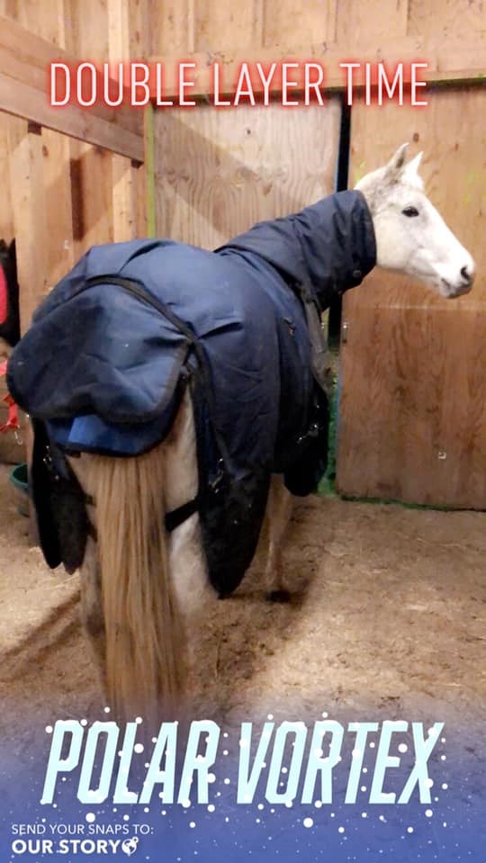 Double-Blanketing Chloe for the Polar Vortex