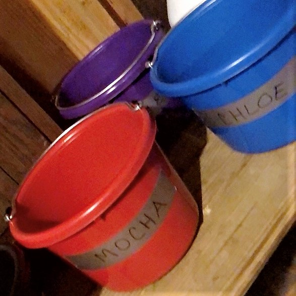 Color-Coded Feed Buckets