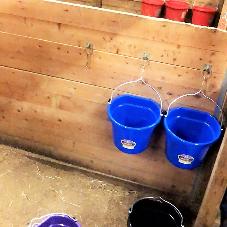 Color-Coded Stalls with Water Buckets