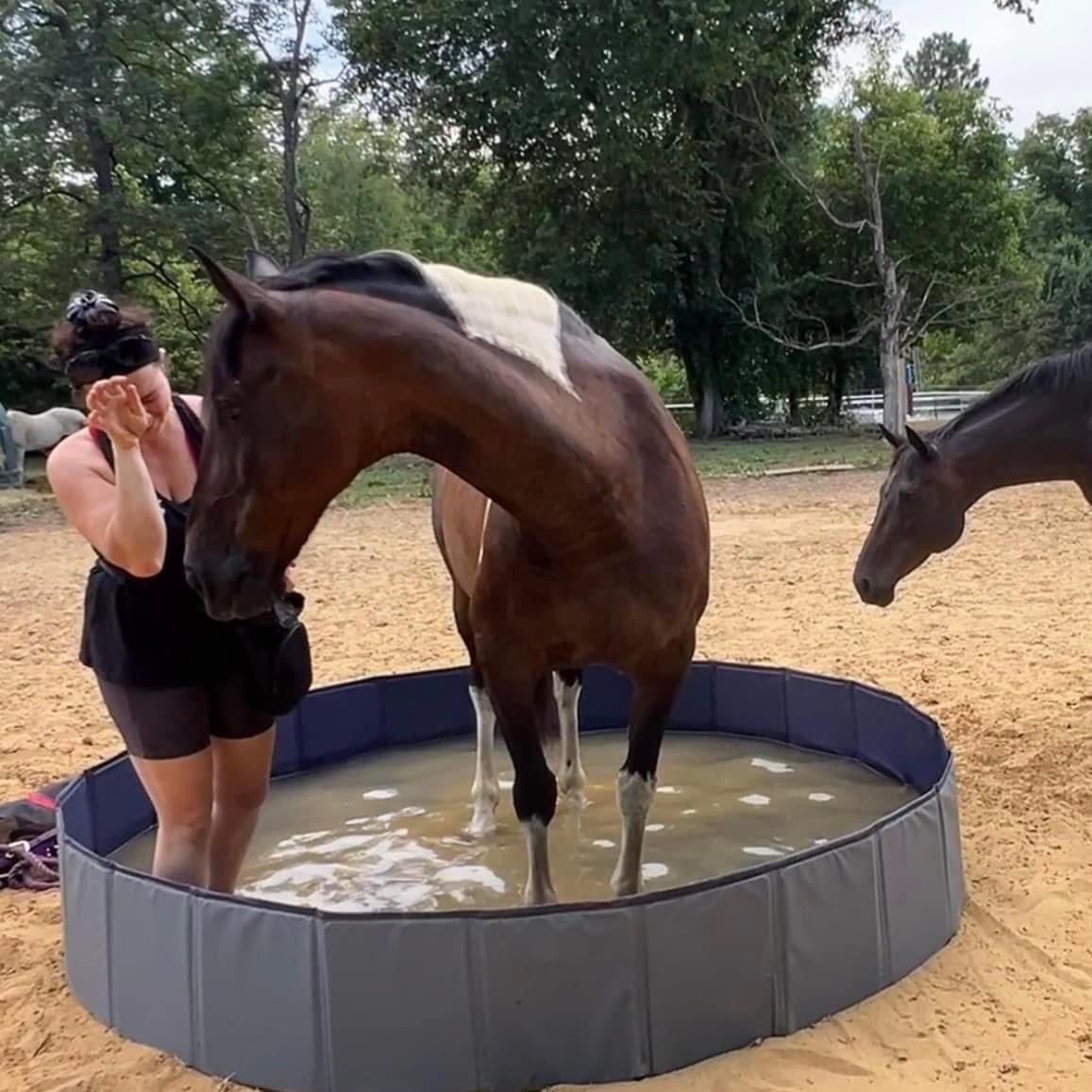 Playing with the Pool