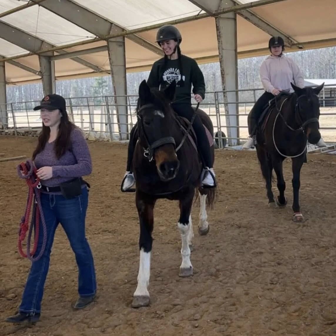 Galestine Intro to Horses