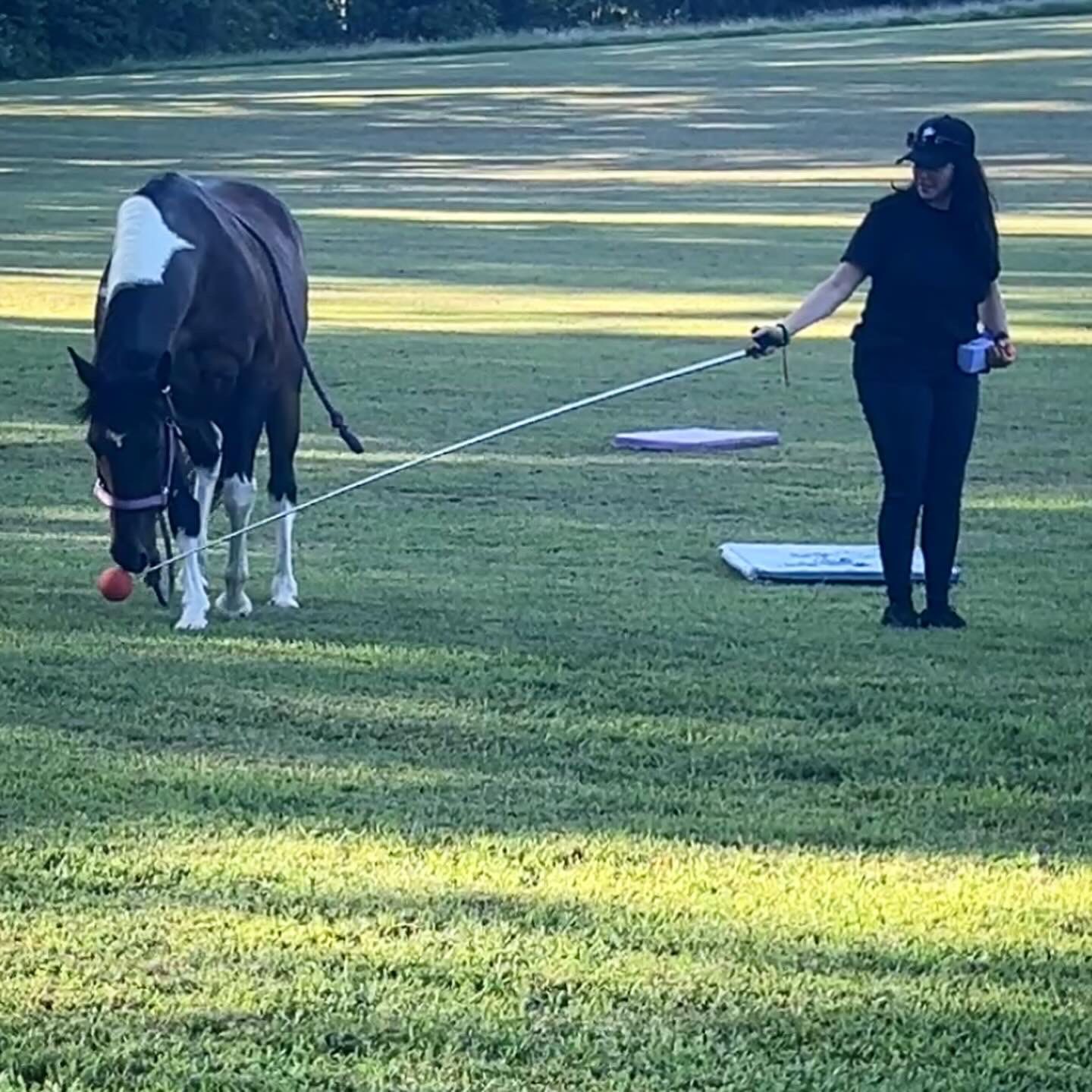 Playing with Dreamer 2025