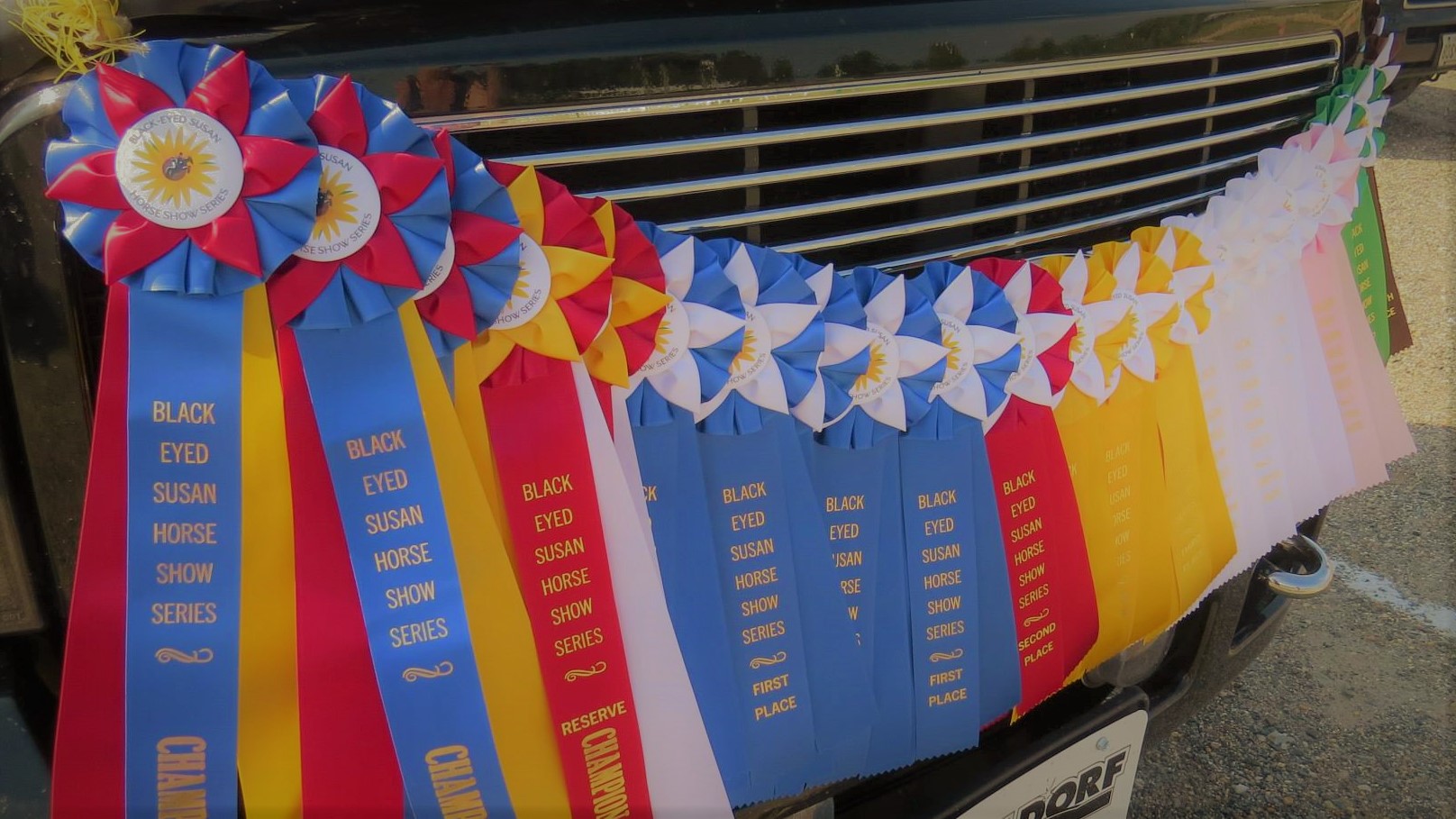 Successful Weekend at the Local Show