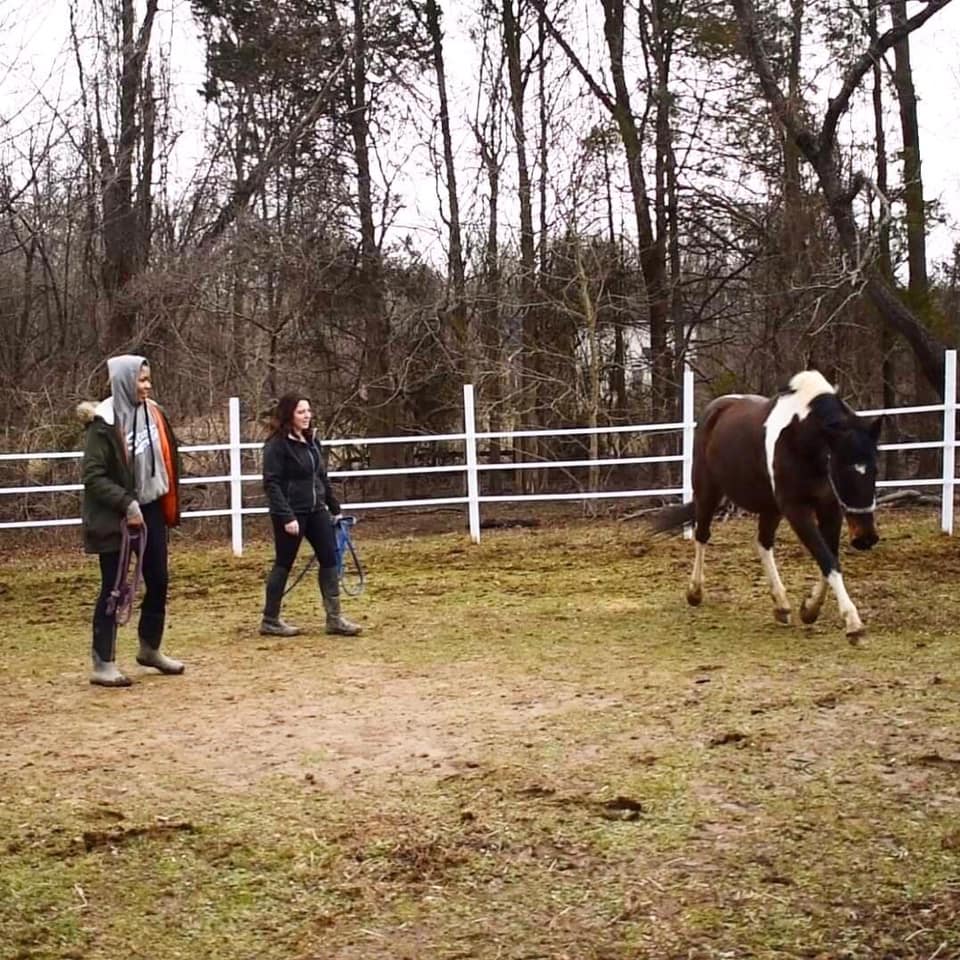 Dreamer Liberty Lunge